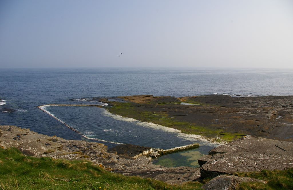 Activity Trinkie Tidal Pool