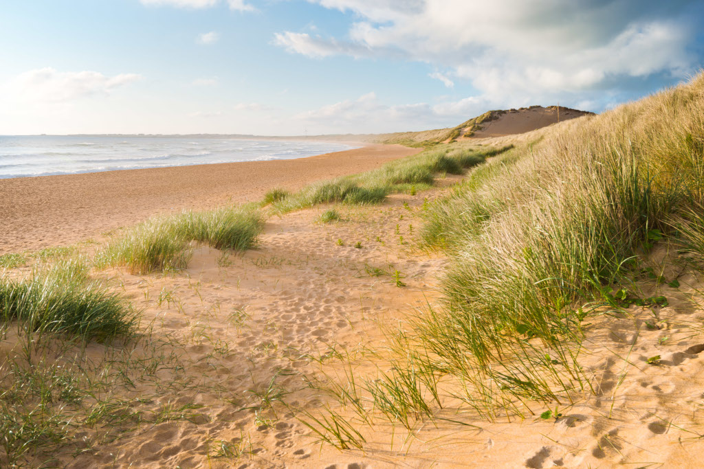 Activity Kentra Bay and The Singing Sands