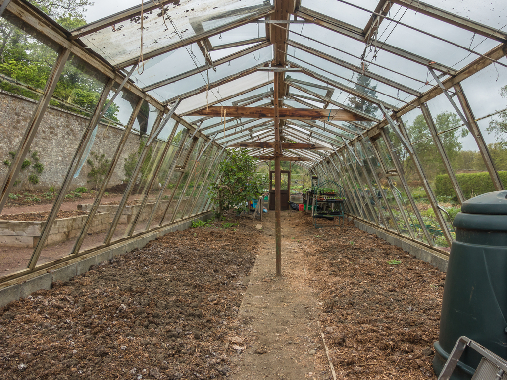 Activity Amisfield Walled Garden