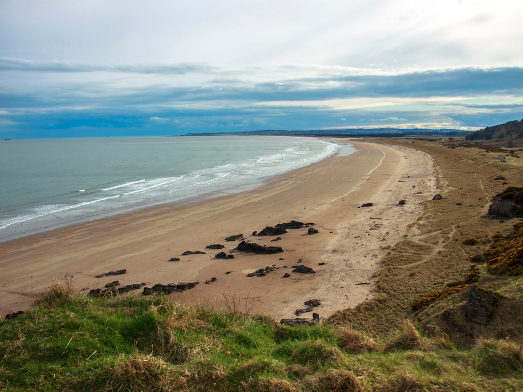 Activity St Cyrus Beach & Nature Reserve