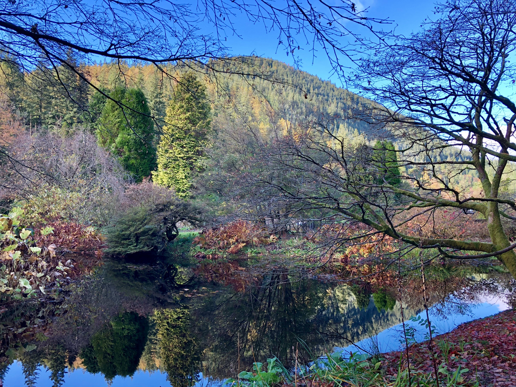 Activity Benmore Botanic Garden