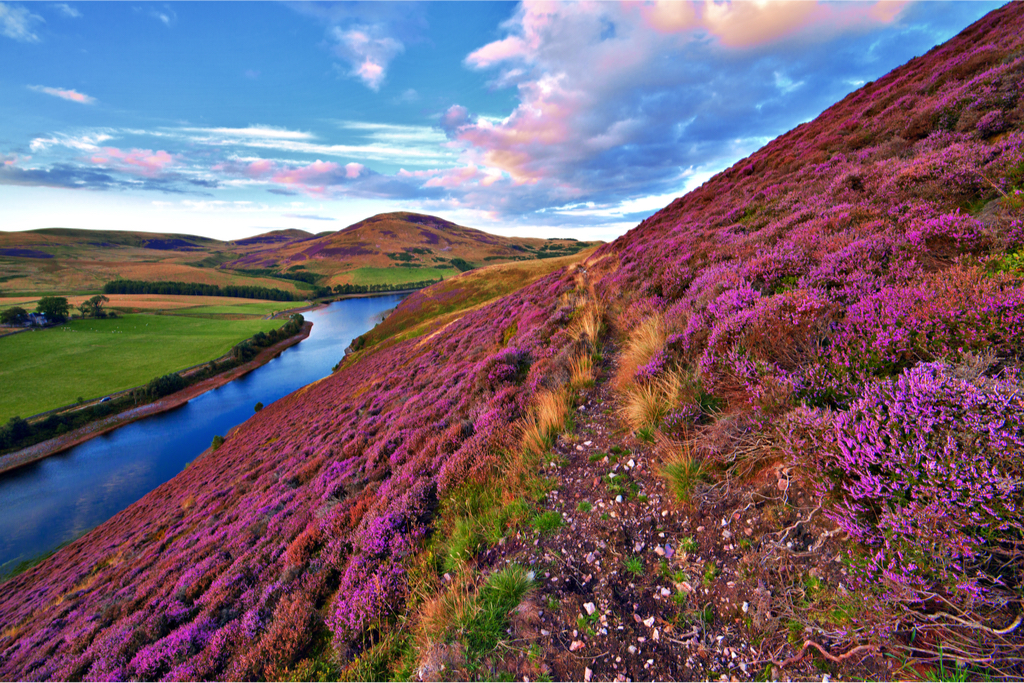 Activity Pentland Hills