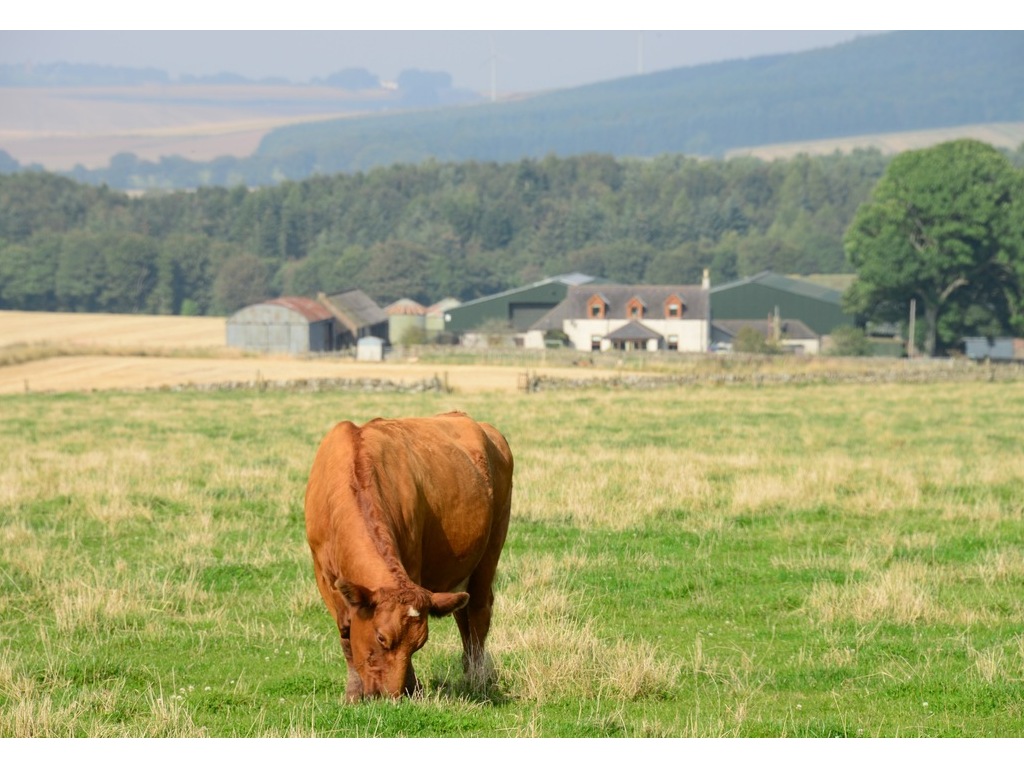 farm tours