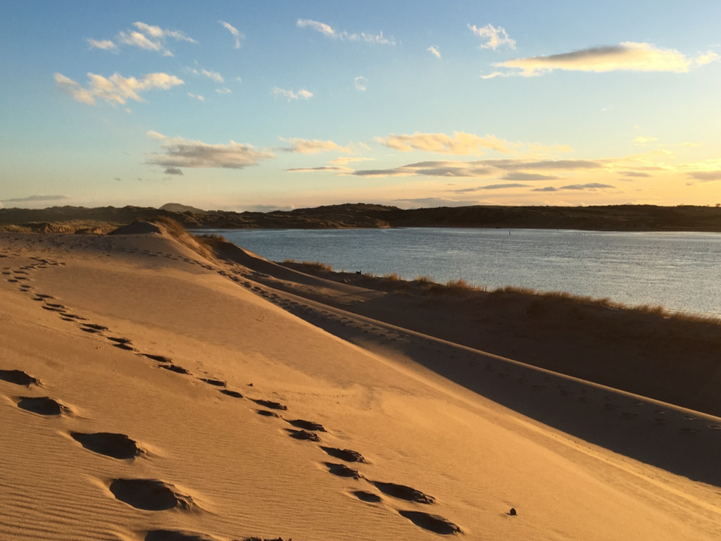 Activity Sands of Forvie