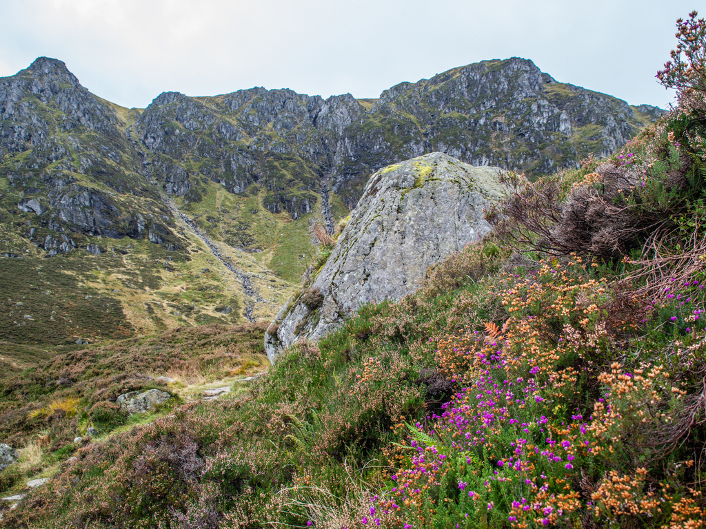 Activity Corrie Fee