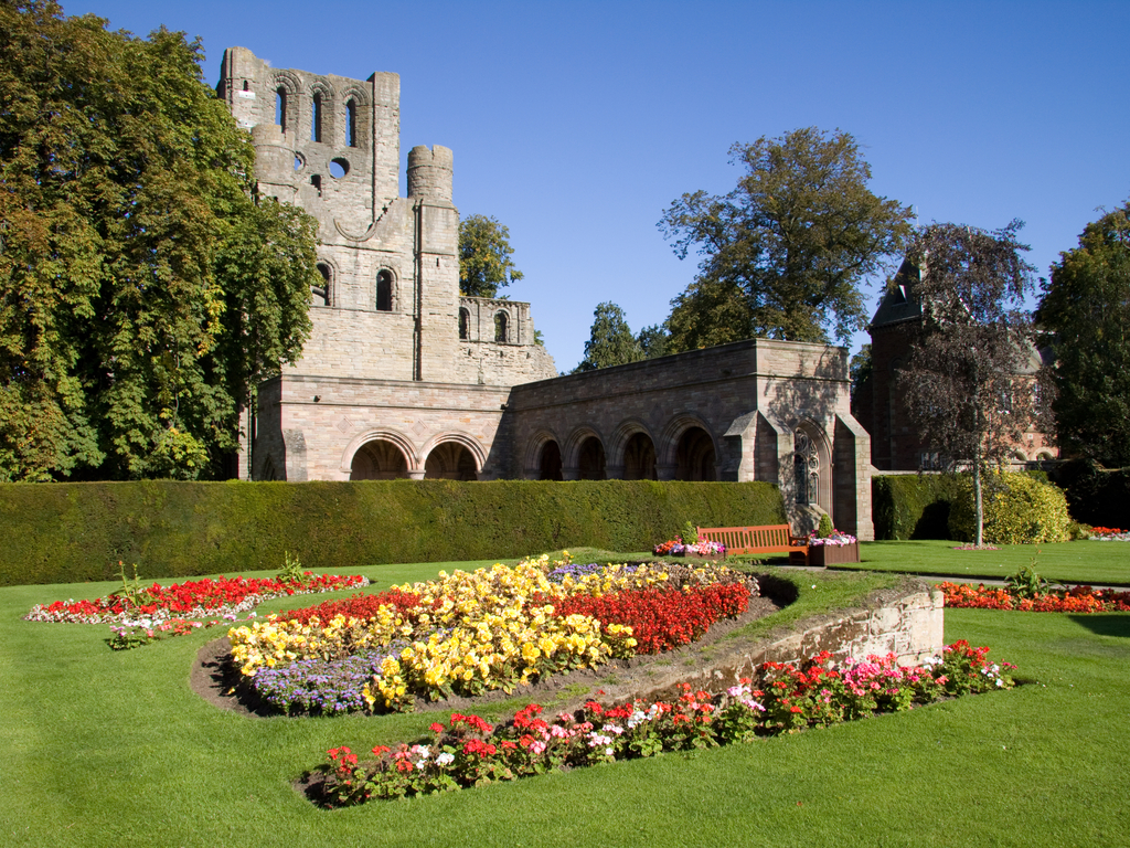 Activity Kelso Abbey