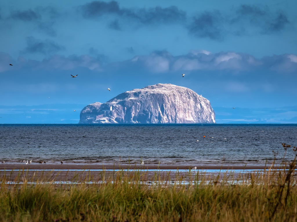 Activity Bass Rock