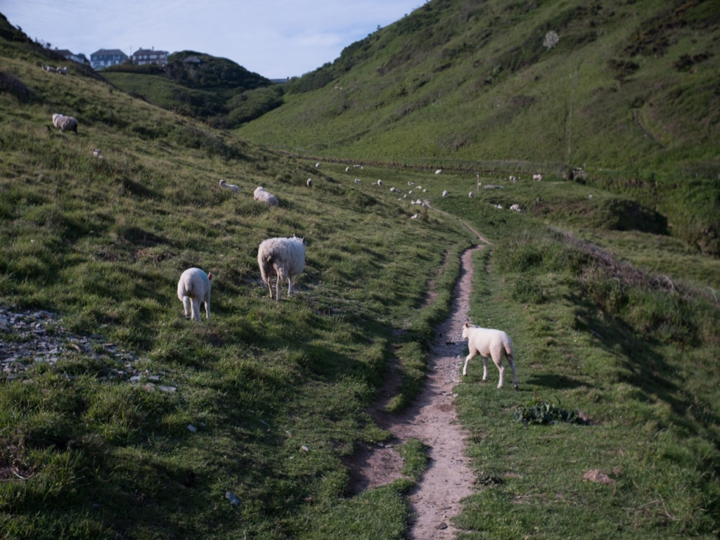 Region North Devon