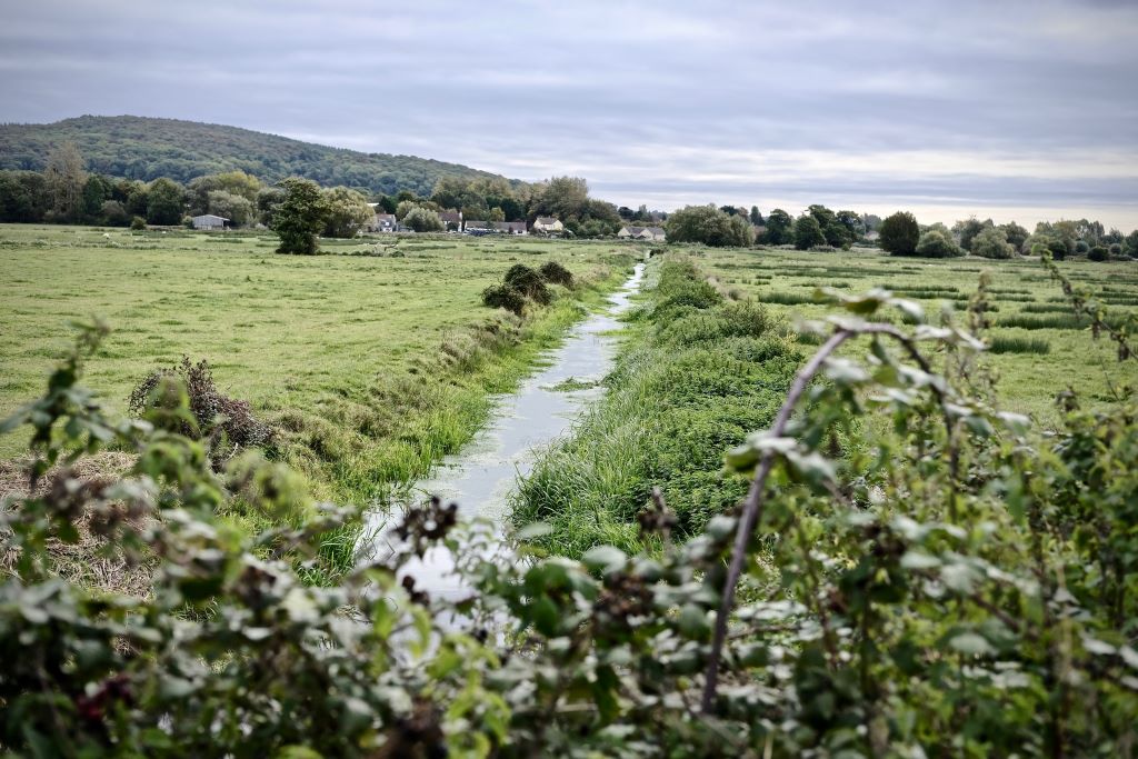 Somerset, England, Uk