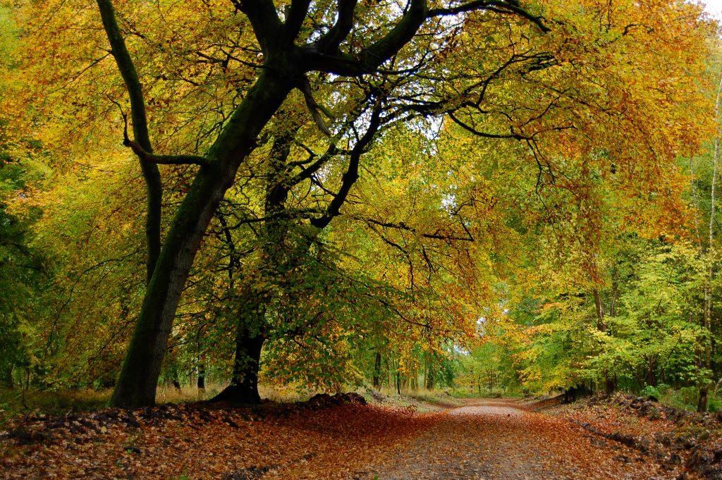 Wiltshire, England, Uk